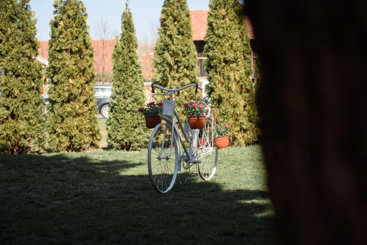 Appartamento Dumalux Garden Subotica Esterno foto