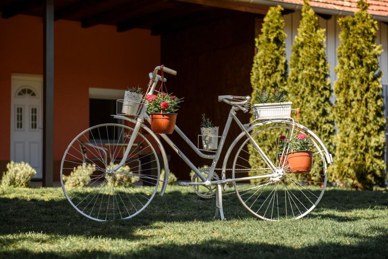 Appartamento Dumalux Garden Subotica Esterno foto